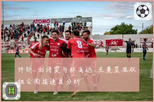 许昕_刘诗雯与林高远_王曼昱混双组合衔接速度分析