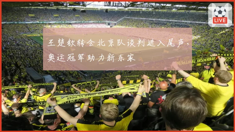 王楚钦转会北京队谈判进入尾声，奥运冠军助力新东家