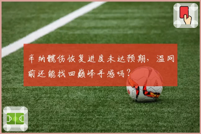 辛纳髋伤恢复进度未达预期,温网前还能找回巅峰手感吗?