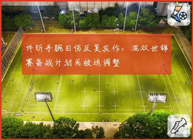 许昕手腕旧伤反复发作,混双世锦赛备战计划或被迫调整