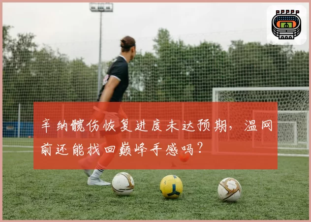 辛纳髋伤恢复进度未达预期,温网前还能找回巅峰手感吗?