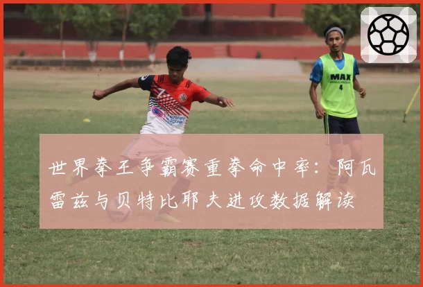 世界拳王争霸赛重拳命中率：阿瓦雷兹与贝特比耶夫进攻数据解读