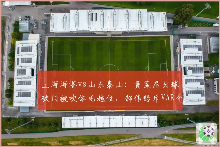 上海海港vs山东泰山：费莱尼头球破门被吹体毛越位，郝伟怒斥VAR介入时机